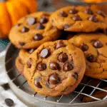 The Best Pumpkin Chocolate Chip Cookies