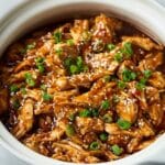 Crockpot Teriyaki Chicken and Rice