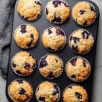 Blueberry and Lemon Zest Cottage Cheese Bites