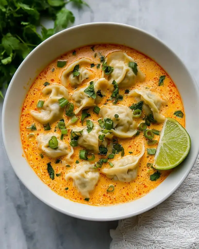 Delicious Curry Dumpling Soup
