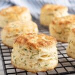 Cottage Cheese Biscuits
