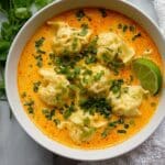 Delicious Curry Dumpling Soup