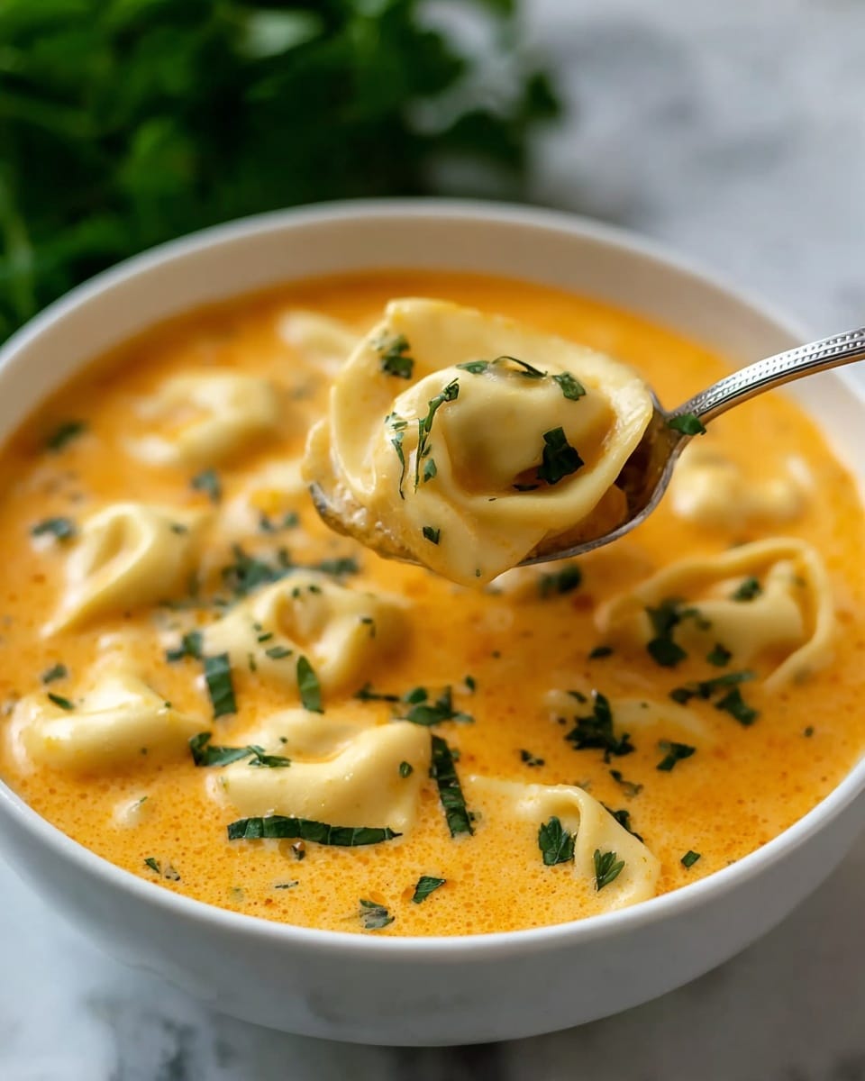 Delicious Curry Dumpling Soup Recipe