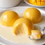 Easy Simple Mango Pudding Recipe