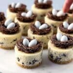 Bird’s Nest Mini Oreo Cheesecakes