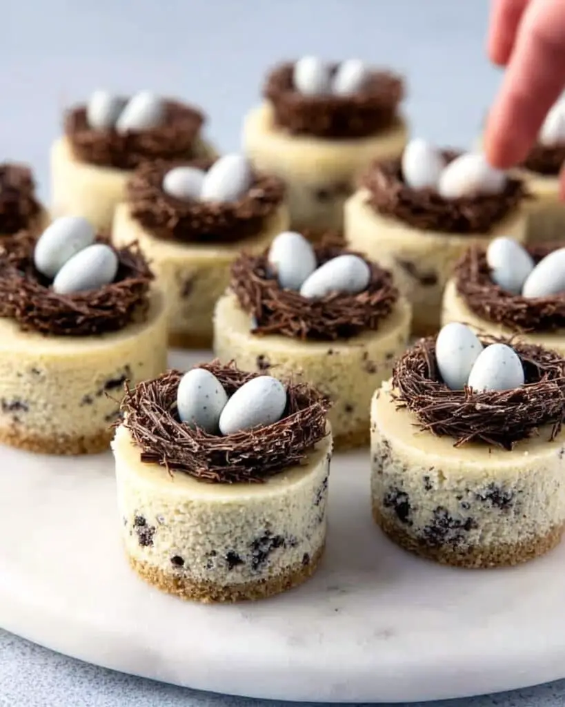 Bird’s Nest Mini Oreo Cheesecakes