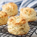 Cottage Cheese Biscuits Recipe