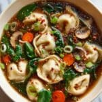 Potsticker Soup