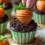 Carrot Patch Cupcakes Recipe