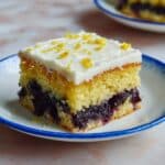 One Bowl Lemon Blueberry Cornmeal Cake Recipe