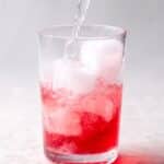 Rhubarb Soda Recipe